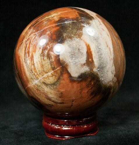 Colorful Petrified Wood Sphere #14976